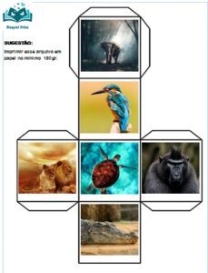 Monte animais