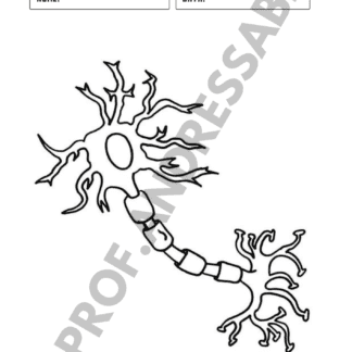 Neurônio para colorir