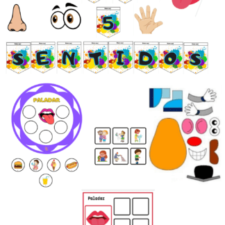 OS 5 SENTIDOS
