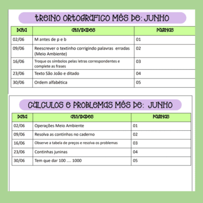 Combo Projetos mensais treino ortográfico e cálculos e problemas - Image 77