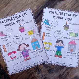 Matemática em minha vida