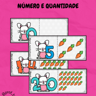 Número e Quantidade- Coelhos