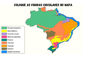 Vegetação Brasileira