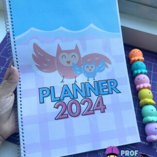 PLANNER PROFESSORA 2024