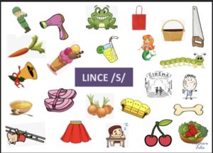 Lince do /s/