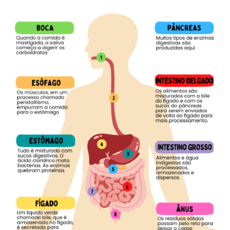 MATERIAL DE APOIO CORPO HUMANO