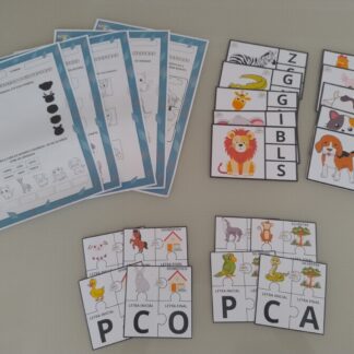 Kit animais domésticos e silvestres