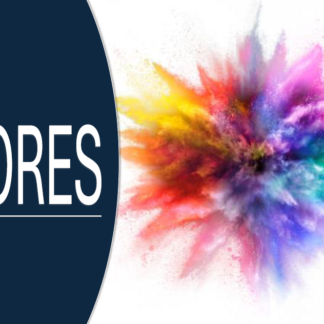 Flashcards Cores