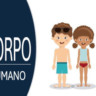 Flashcards Corpo Humano