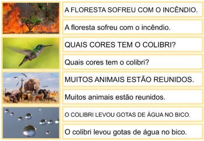 COMBO - FÁBULA - Image 4