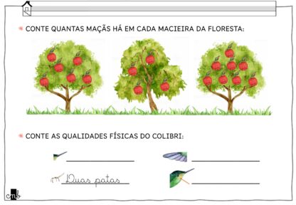 COMBO - FÁBULA - Image 3