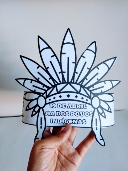 Cocar Indígena