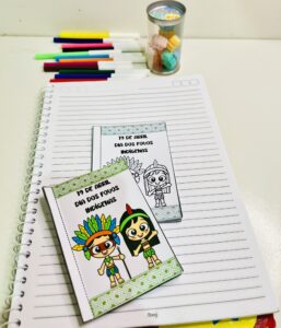 MINIBOOK POVOS INDÍGENAS