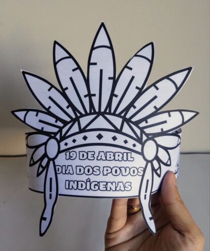 Cocar indigena - Image 5